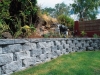 Retaining Walls and Fences Diamond Pro [DVD (PAL)]