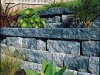 Retaining Walls and Fences Meadow Stone [DVD (PAL)]